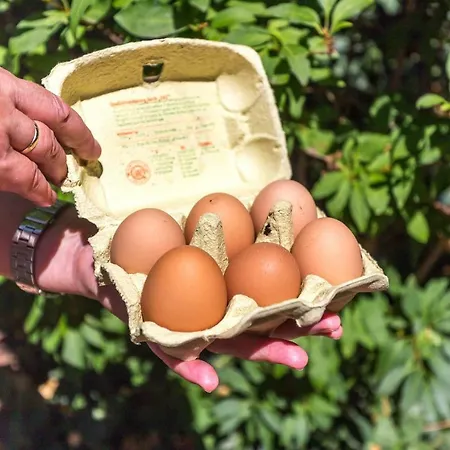 Andrea Apartment Pohl (Rhineland-Palatinate)