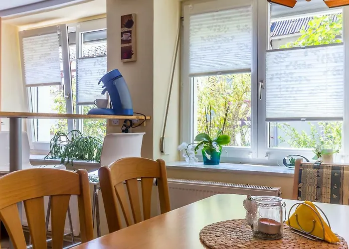 Daire Andrea Pohl (Rhineland-Palatinate)